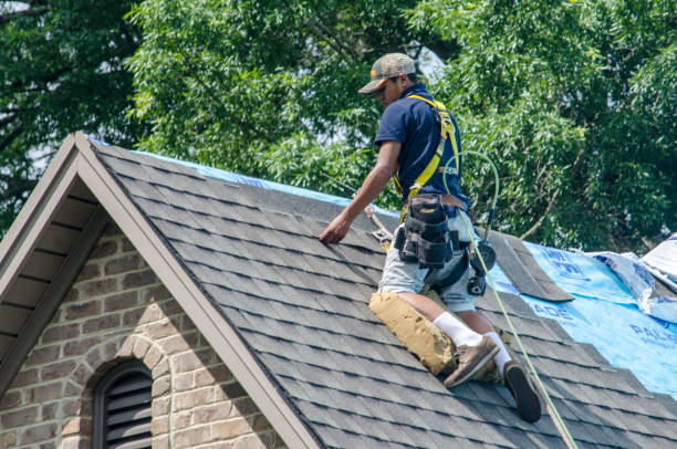 Best Gutter Installation and Roofing  in Wadsworth, OH